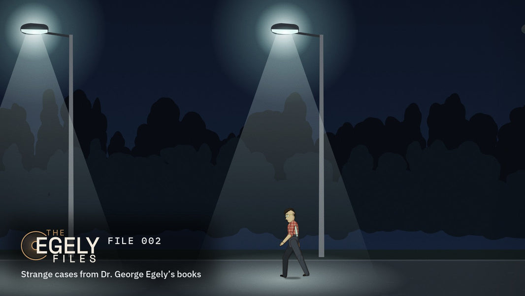 The Egely Files, FILE 002: a man walking along a forest road at night under the light of a street lamp