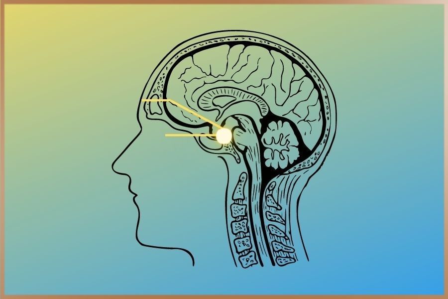 Illustration of man perceives both with Third-eye and physical eye