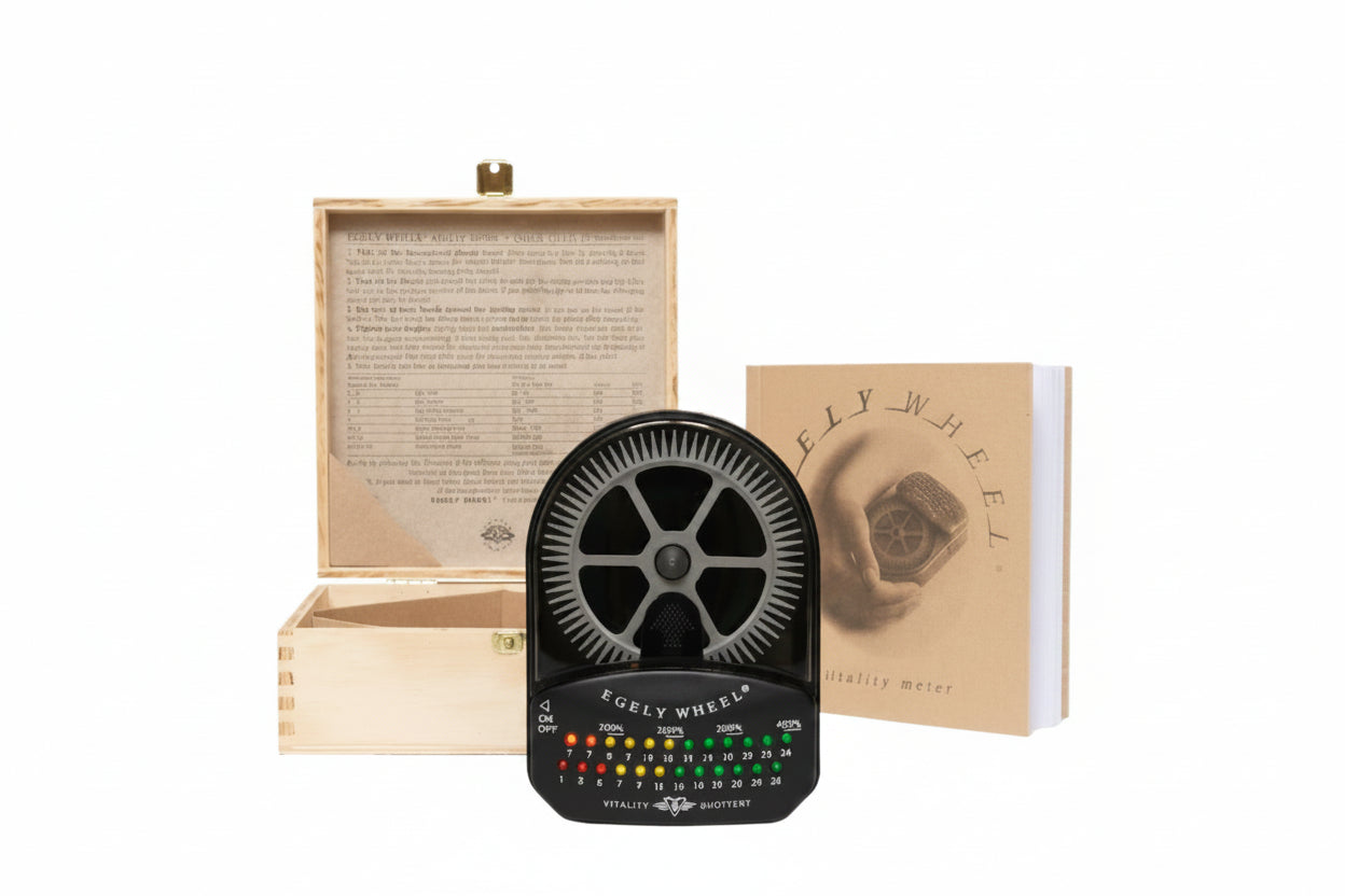 Egely Wheel