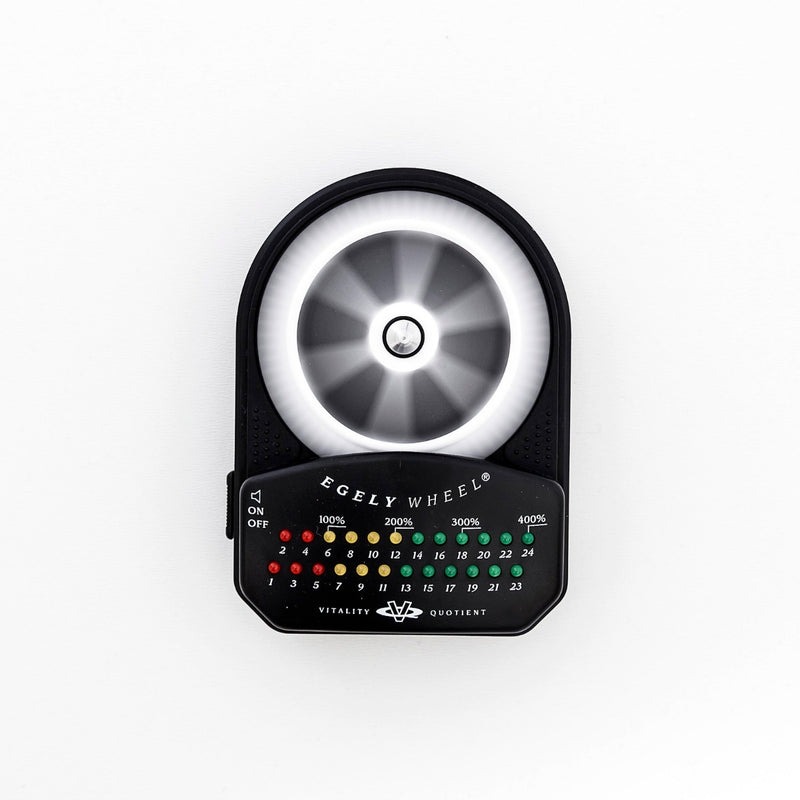 Egely Wheel