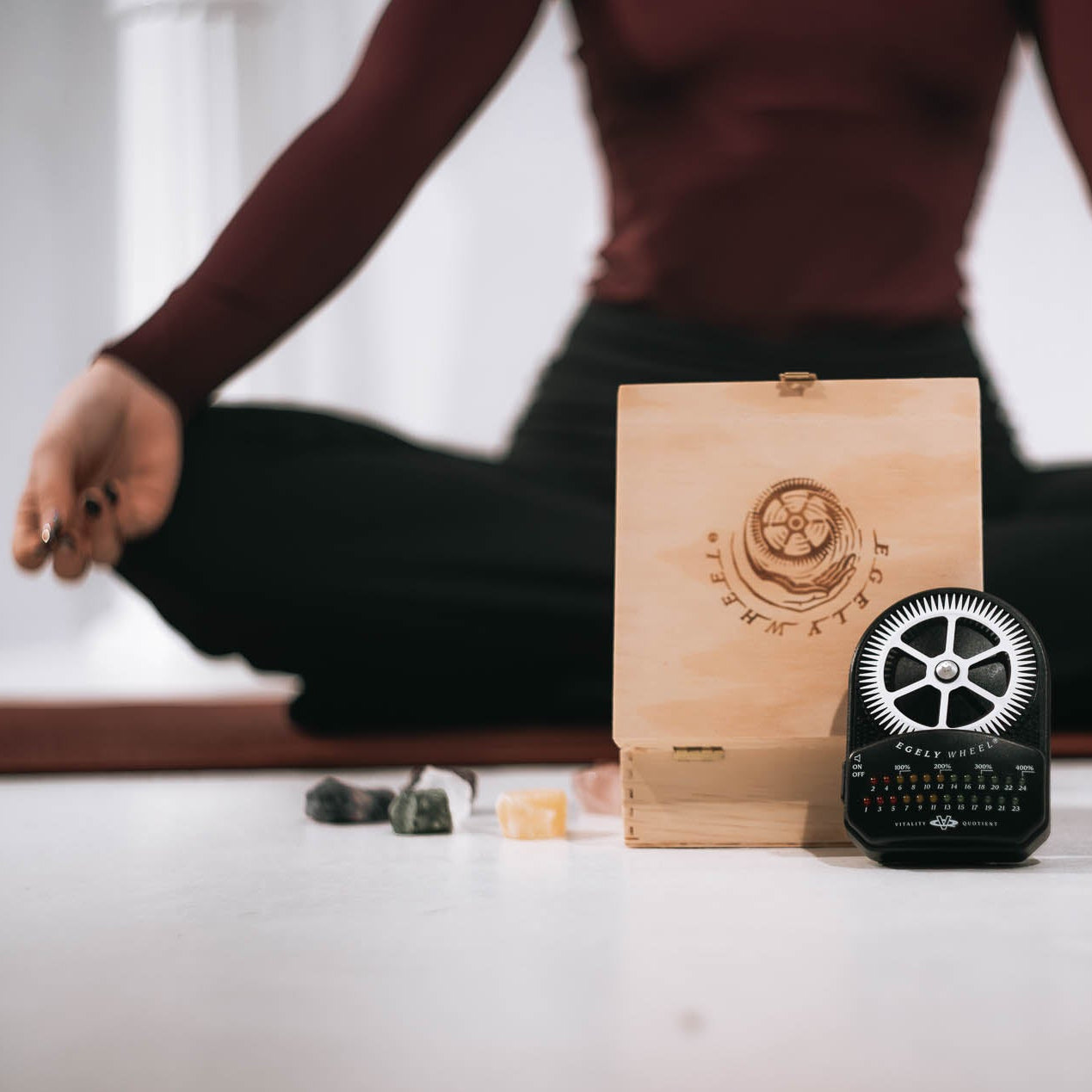 VitalityPack-EgelyWheel