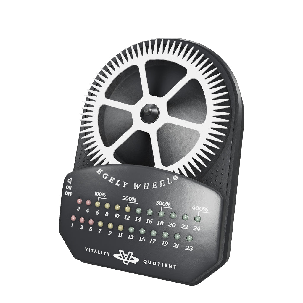 Egely Wheel vitality meter — interactive 3D model